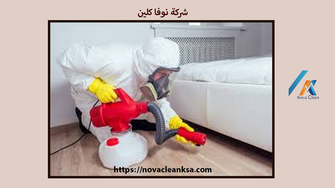 مكافحة البق الدقيقى بمحايل عسير