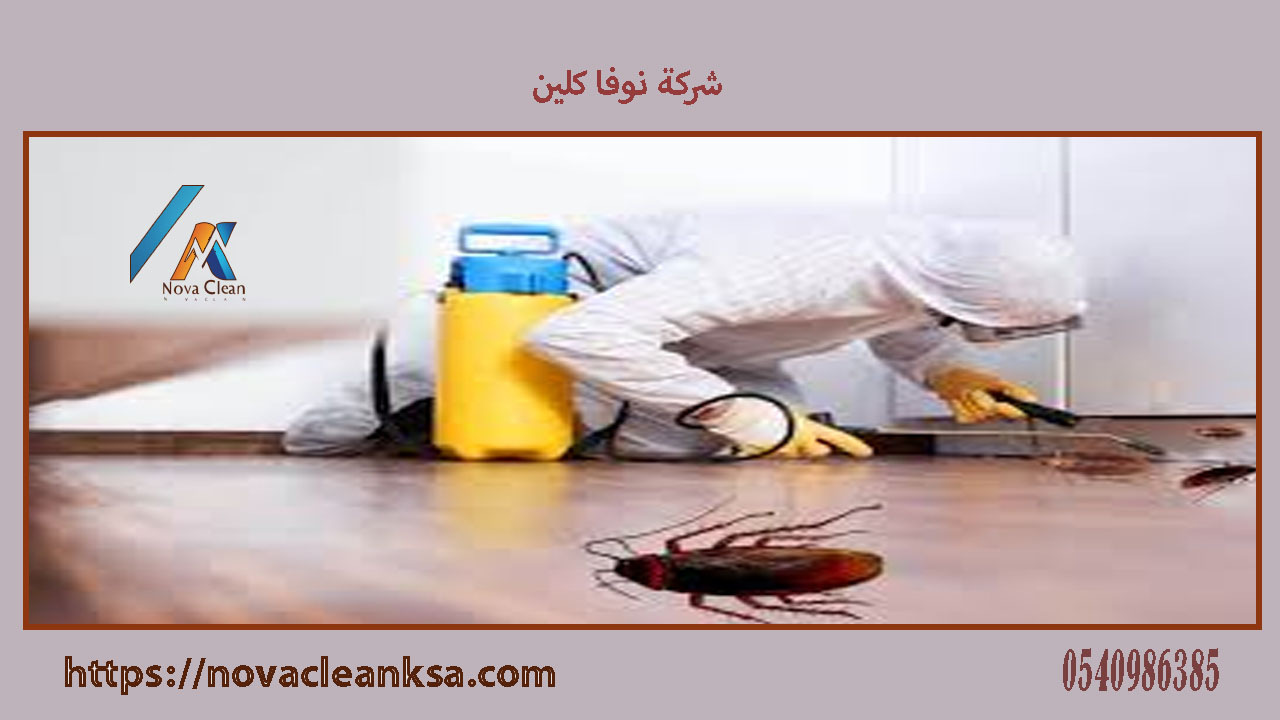 شركة محاربة صراصير بالخرج