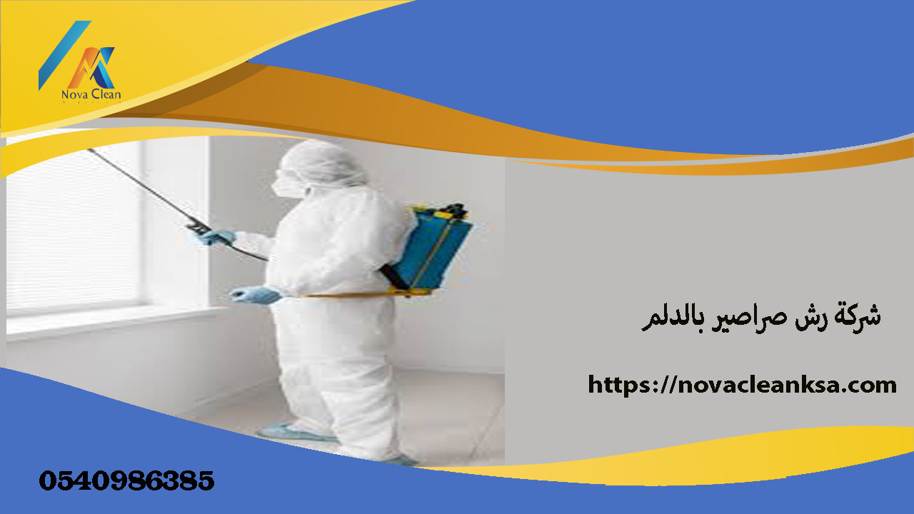 شركة رش صراصير قبل العيد بالدلم