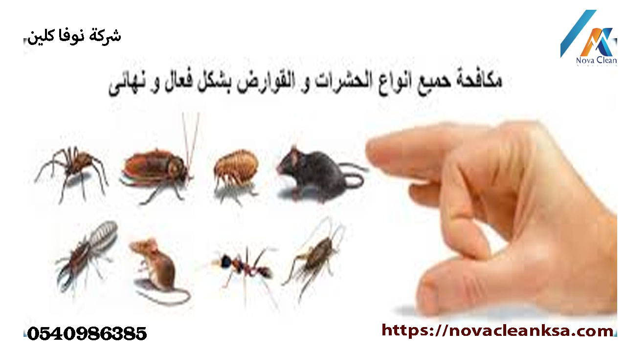 شركة مكافحة القوارض بالخرج
