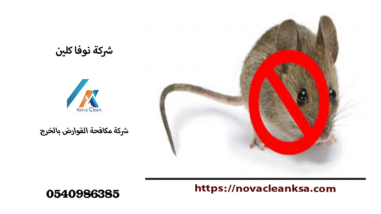 شركة مكافحة القوارض بالخرج