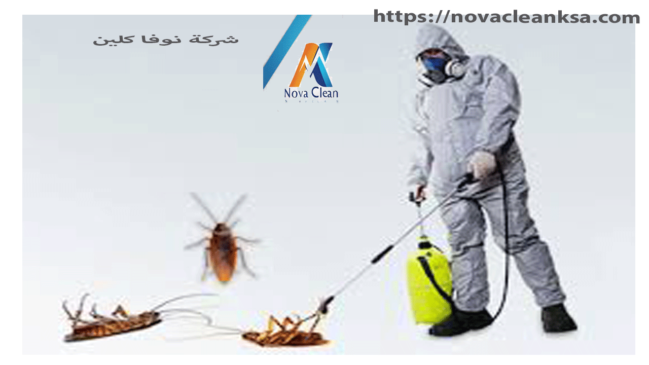 شركة رش صراصير ببريدة